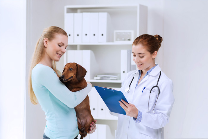 ЭЦП для оформления ветеринарных сертификатов (ГИС Меркурий) в Уфе